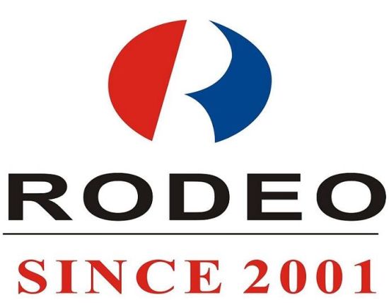 RODEO Шины