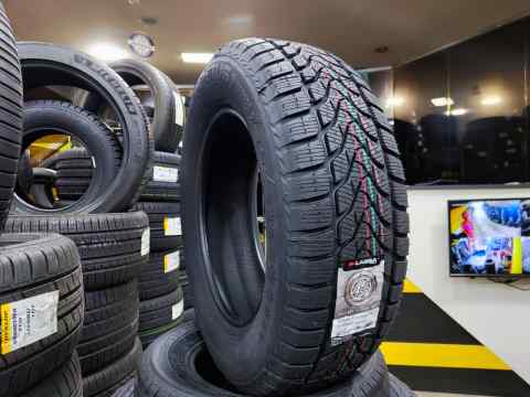 Riken Competus Winter 2 225/65 R17 - Qış təkəri