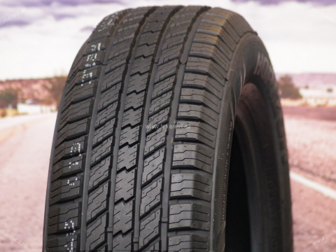 Horizon HR802 245/65 R17 - 4 fəsil təkəri