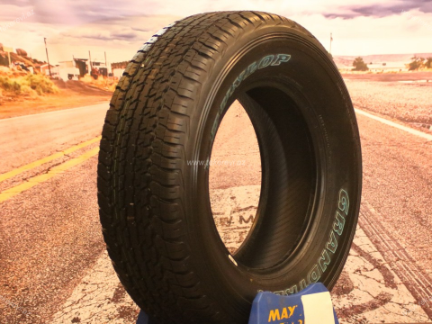 Dunlop Grandtrek AT22 285/65 R17