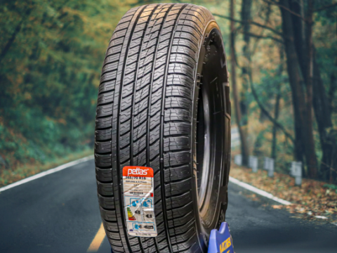 PETLAS  Explero A/S PT411 265/70 R16 - 4 fəsil təkəri